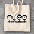 Breaking Bad Evolution Walter White